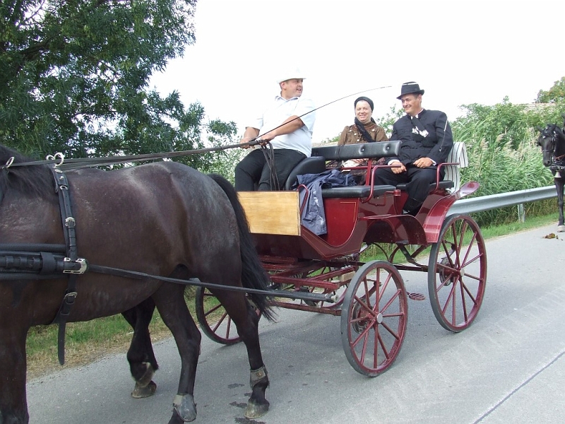 DSCF9972 (Medium).JPG